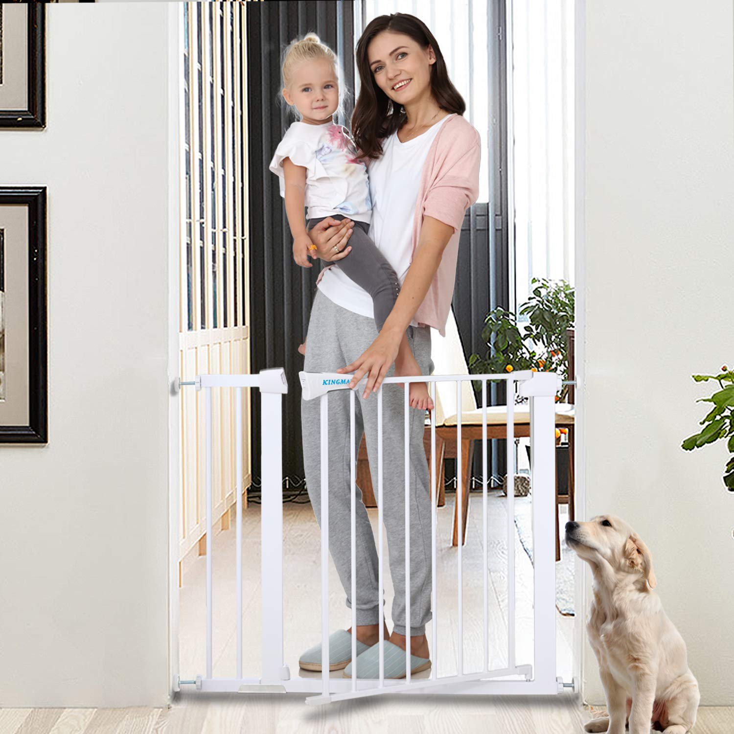 dog stair gate amazon