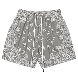 DIOTSR Mens Paisley Graphic Shorts Casual