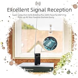 PRUNUS J-166 Portable Radio AM FM, Battery Operated