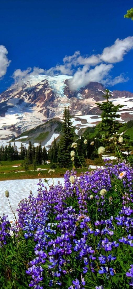 PeelitStickit, Beautiful Landscapes Wall Murals, ID-346, vinyl, Multi-colour