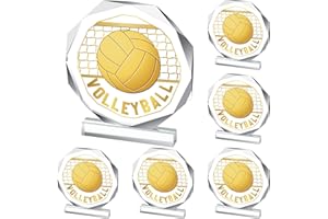 Anglechic 6 Pack Sports Trophy Acrylic Award Medals 4.72 x 4.72 Inch Sports Contest Trophies Bulk Plaques Team Prize Gift Trophies for Competition