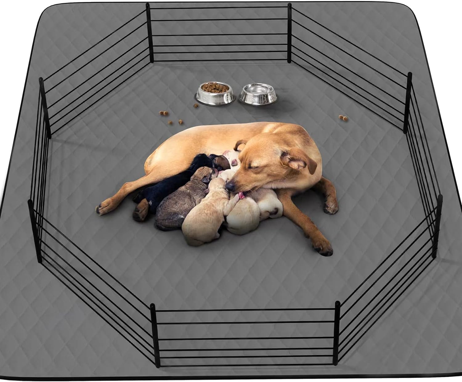 Photo 1 of CoolShields Washable Puppy Dog Pee Pad, 82" X102" Extra Large, Waterproof Whelping Training Pet Mat for Playpen, Crate, Potty, Floor, Bed, Sofa and Trunk, Reusable Pee Pads for Dogs, Cats, Bunny