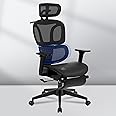 FLEXISPOT Big and Tall Mesh Office Chair, Computer Desk Chair Adjustable Swivel Chair with Footrest Lumbar Support Headrest and 360°Rotation for Home Office, Black Mesh 1