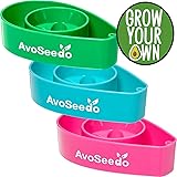 AvoSeedo Bowl Grow Your Own Avocado