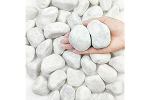 FANTIAN 5 lbs White Matte Rocks for Plants, 2-3 Inch Large Pebbles for Indoor Plants, Decorative River Stones for Succulent, Landscaping, Vases, Crafting and Garden