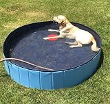 Yaheetech PVC Foldable Dog Pool Extra Large 160x30cm Blue Portable view 3