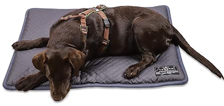 LUGUNO® Waschbare Hundematte Anthrazit I Größe M & S I für Outdoor, Auto & Zuhause I für Katzen & Hunde geeignet I Hundekisse