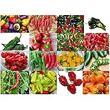 Please Read! This is A Mix!!! 30+ Hot Pepper Mix Seeds, 16 Varieties Heirloom Non-GMO Habanero, Tabasco, Jalapeno, Yellow and