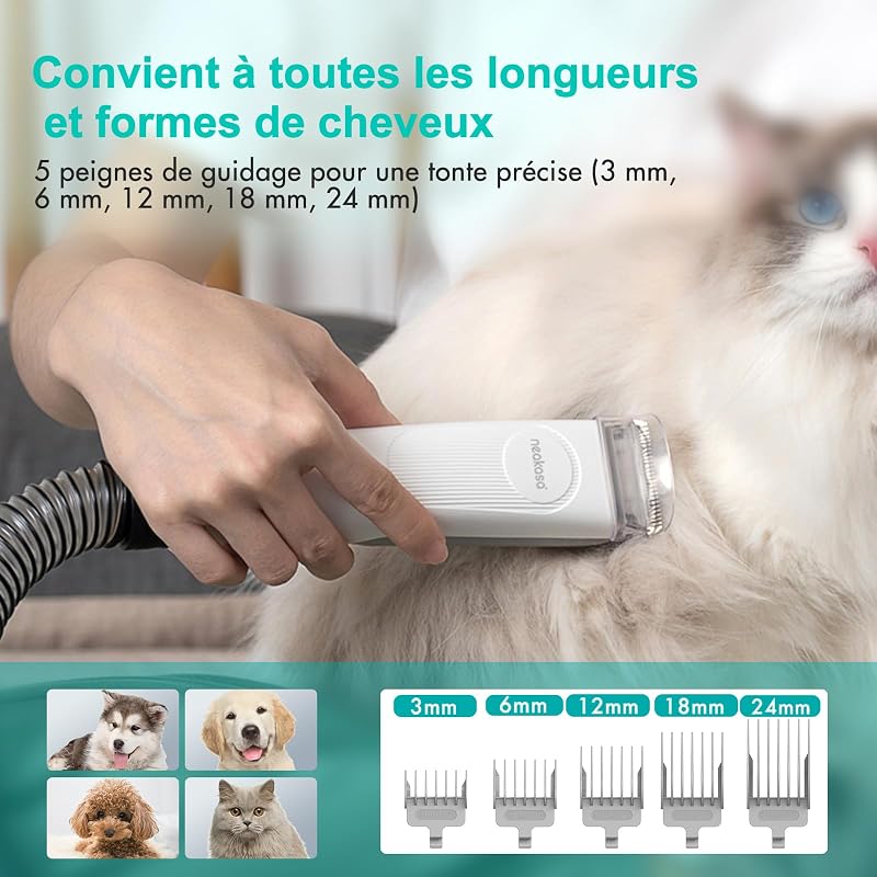 P1 Pro Brosse Chat, Brosse Chien, Tondeuse professionnelle pour chats et chiens, Aspirateur de poils 13000 Pa, Silencieuse 52 dB, 5 Outils de toilettage pour poils courts, longs et épais