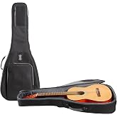 Levy's 100 Series Classical Acoustic Guitar Gig Bag - Black