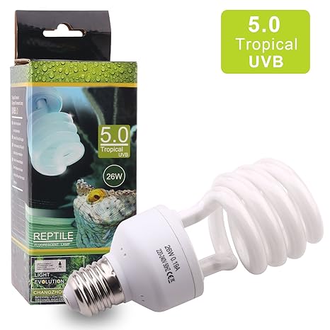 AIICIOO UVB Lampe für Reptil 5.0 26W Terrarium UVB Compact Lampe für Reptil Schildkröte Eidechse Sukkulenten Förderung der D3