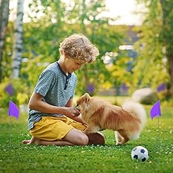 Zozen 100Pack Purple Marking Flags, Writable