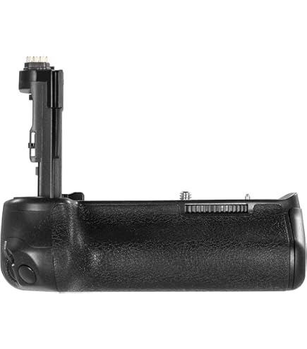 Amazon.com : Canon BG-E21 Battery Grip for EOS 6D Mark II