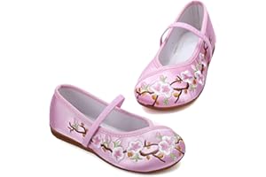 ANPROITY Encanto Costume Shoes Mary-Jane Flats Shoes Round Toe Low Wedge Ballet Flats Floral Embroidery Shoes for Girls Halloween Cosplay Dress Up