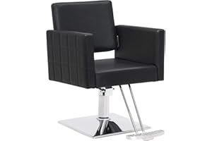 BarberPub Salon Chair for Hair Stylist Hydraulic Barber Styling Chair, Beauty Spa Equipment 8821BK