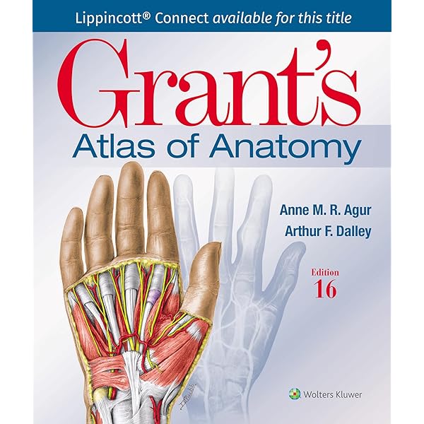 Photographic Atlas of Anatomy (Lippincott Connect): 9781975151348