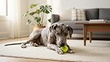 The Dog's Balls Large Yellow Dog Tennis Balls 3-Pack Non Abrasive Felt Floats view 7