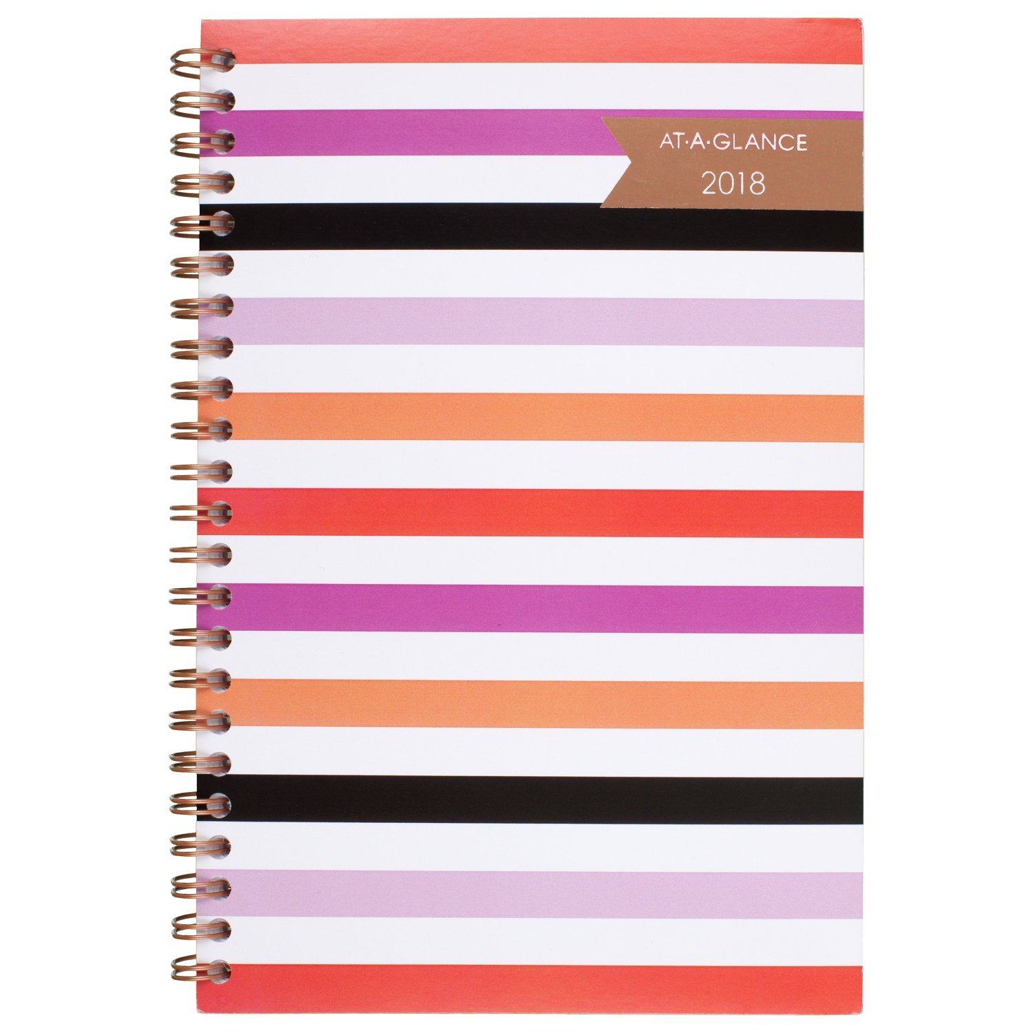 AT-A-GLANCE Weekly/Monthly Planner, January 2018 - December 2018, 4-7/8" x 8", Parasol (1064-200)