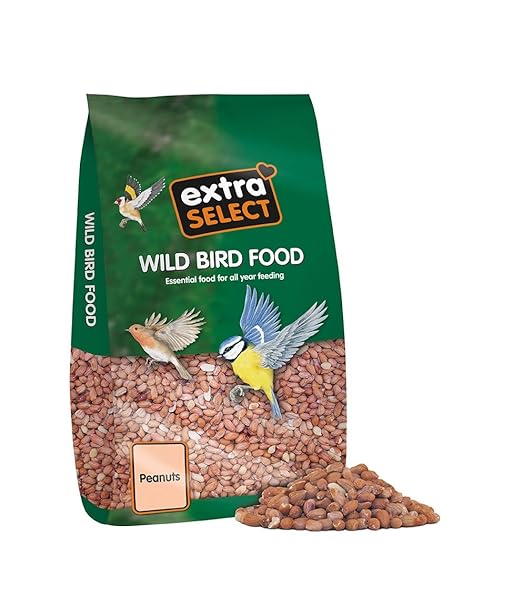 Extra Select Peanuts Wild Bird Food, 12.75 kg Amazon.co.uk Garden