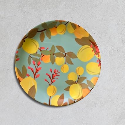 Cyahi - Succulent Pleasure - Wall Plates Ceramic Decor with Hook for Hanging. 7 Diameter