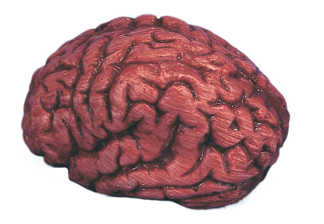 Fake Human Bloody Brain