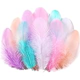 Soarer 300pcs Macaron Rooster Feathers Bulk