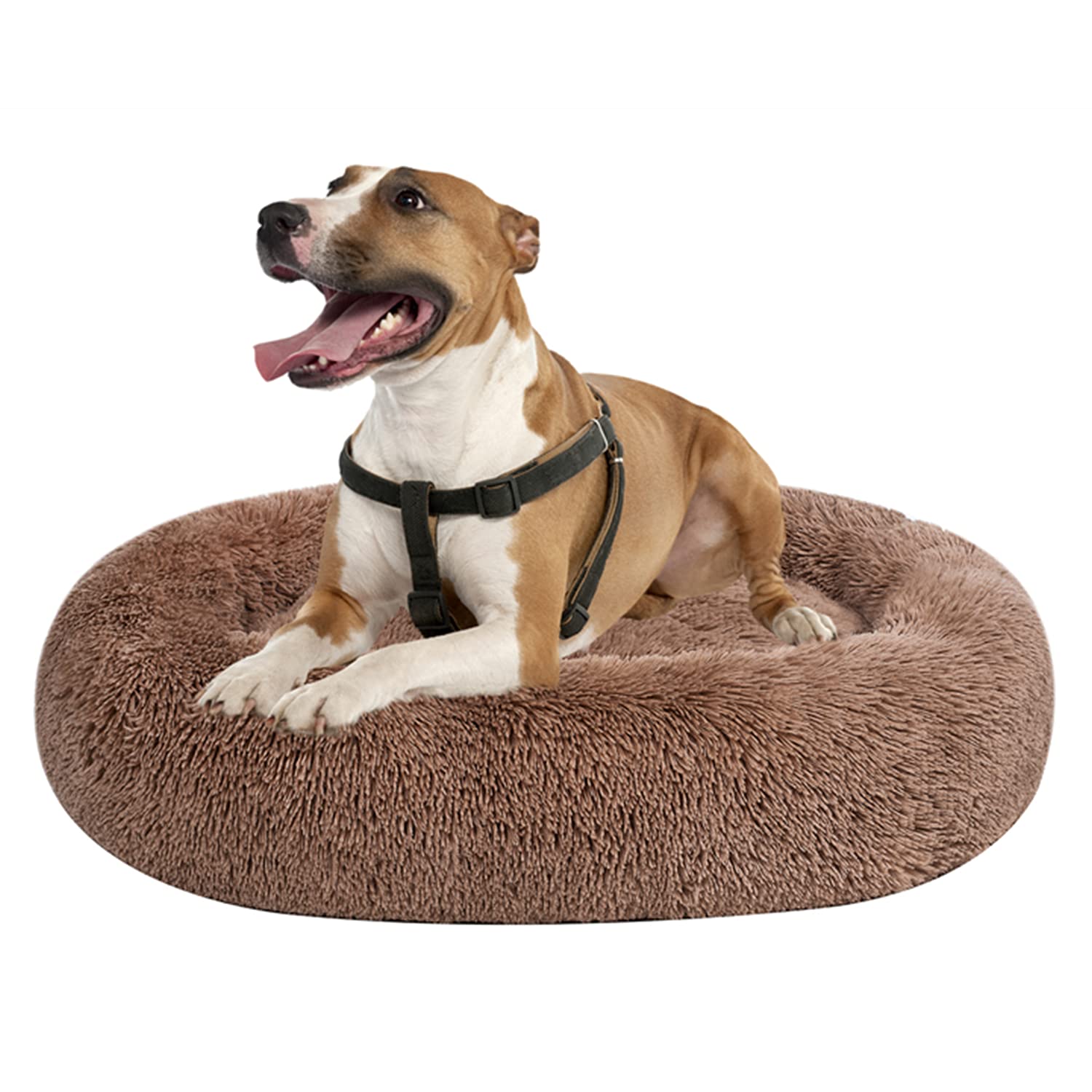 Photo 1 of Coohom Oval Calming Donut Cuddler Dog Bed,Shag Faux Fur Cat Bed Washable Round Pillow Pet Bed(30"/36"/43") for Small Medium Dogs (XXL(43"x34"x8"), Camel)