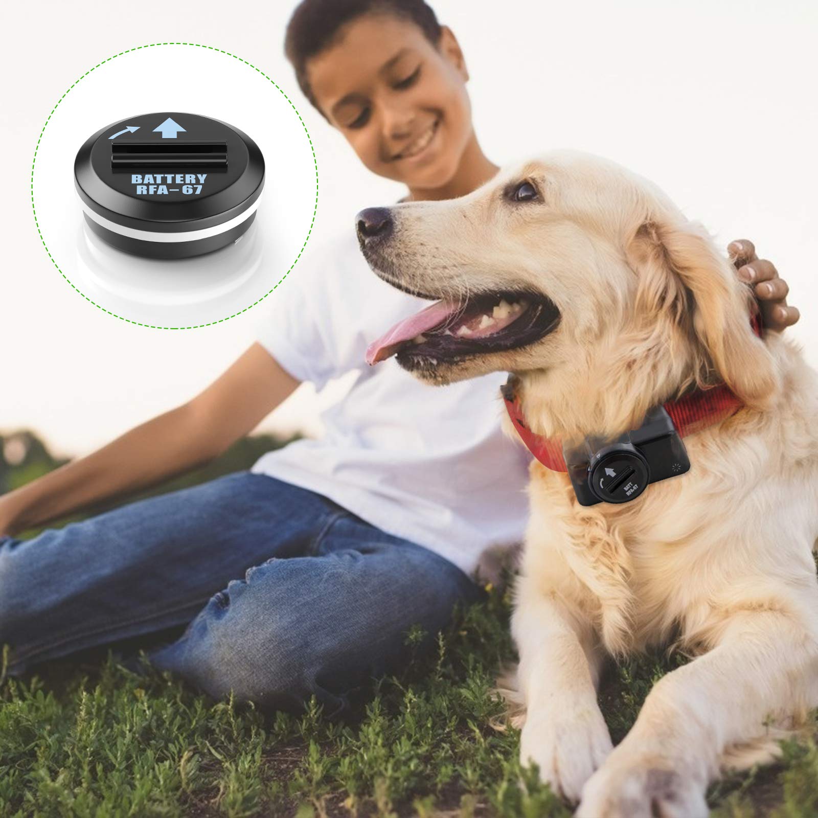 EBL RFA-67 RFA-67D-11 6 Volt Pet Collar Replacement Batteries 10 Pack, Ultra Long-Lasting & Waterproof Compatible with PetSafe 6V Lithium Battery Specific Dog Receiver Collars