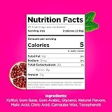 PUR Gum Pomegranate Mint Sugar Free Chewing Gum 55 Pieces Vegan Xylitol view 6