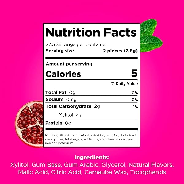 PUR GUM | ASPARTAME FREE CHEWING GUM | 100% XYLITOL | NATURAL POMEGRANATE MINT FLAVORED GUM, 55 PIECES (PACK OF 1)