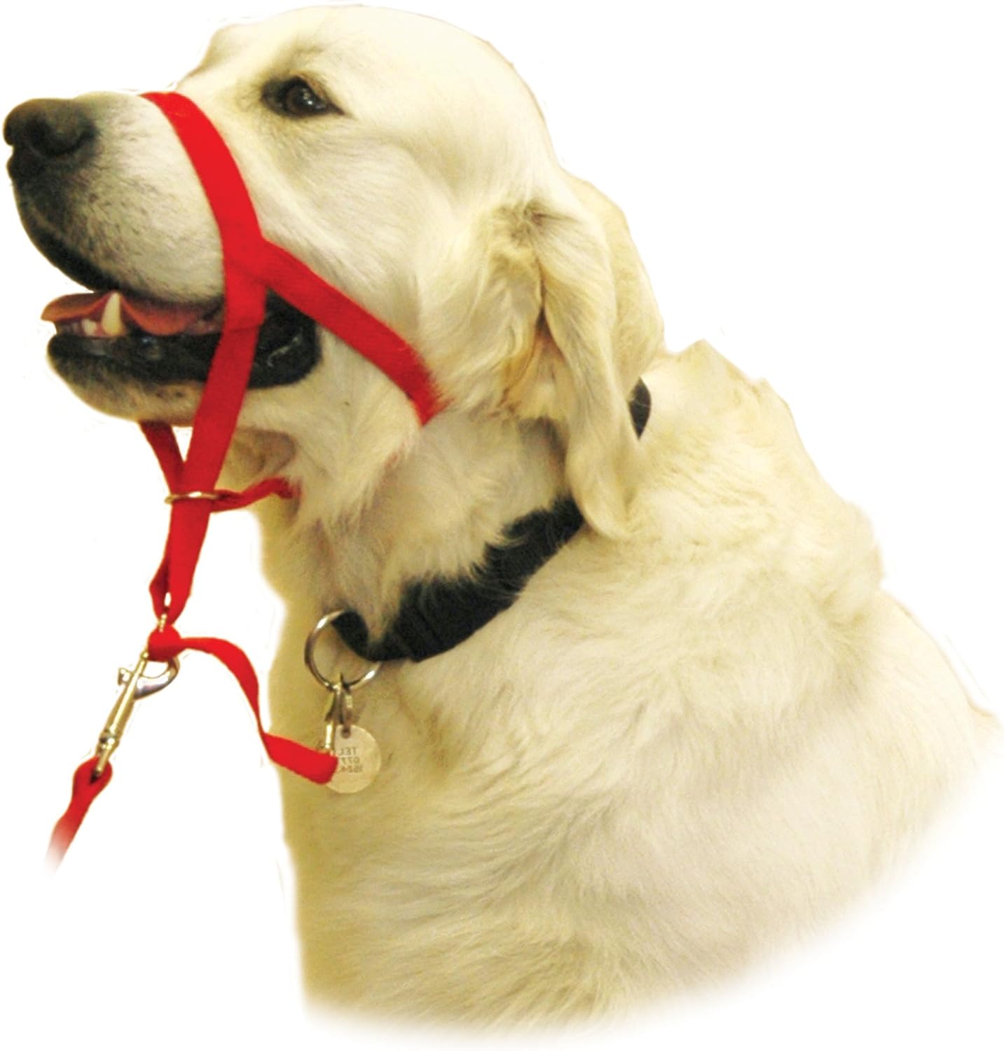 Halti Head Collar Black Size 5 Amazon.co.uk Garden & Outdoors