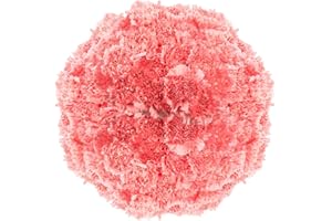 GlobalRose 300 Fresh Cut Pink Carnations - Fresh Flowers Wholesale Express Delivery