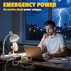2PCS 300W Battery Charger Compatible with