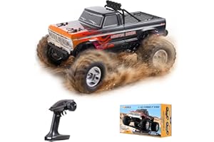 BEEZRC FMS RC Rruck 1/10 Ford F100 Brushless Officially Licensed, Monster Truck, 2WD High Speed Off-Road,RC Rock Crawler,Hobb