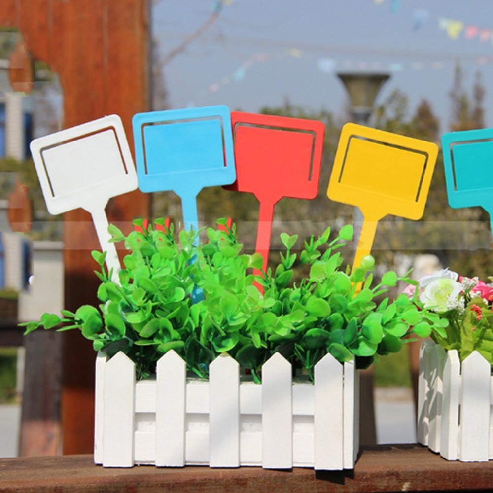 Sttech1 - Etiqueta de plástico Tipo T para jardinería o jardinería ...