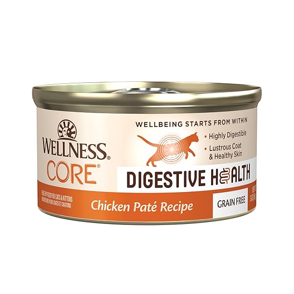 CORE® DIGESTIVE HEALTH PATÉ