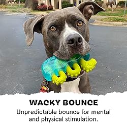 Barkbox Super Chewer Tough Dog Chew Toys for