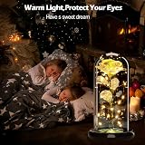Touloube Galaxy Rose for Her in Glass Dome 20 LED Lights 22cm Gift view 3