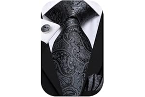 Hi-Tie Silk Paisley Ties for Men Necktie Pocket Square Cufflinks Set Foral Tie Sets Formal Business
