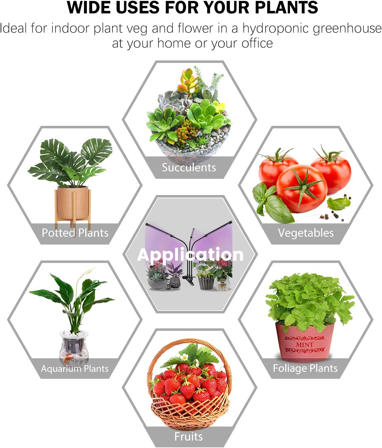Grow Lights Plant Light for Indoor Plants Lamps Bulb Full Spectrum Auto ON/Off Timer: Home Improvement