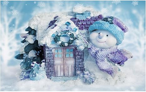 Amazon 雪だるまの家の玄関マット 屋外 屋内用の完璧な色 サイズ 入場用 75x45cm 玄関マット オンライン通販