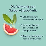 Spitzner Sage & Grapefruit Sauna Infusion 1000ml - Refreshing Aroma view 2