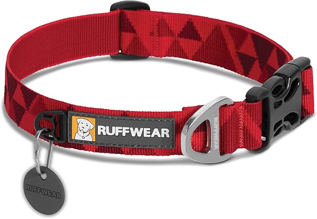 red dog collar and leash