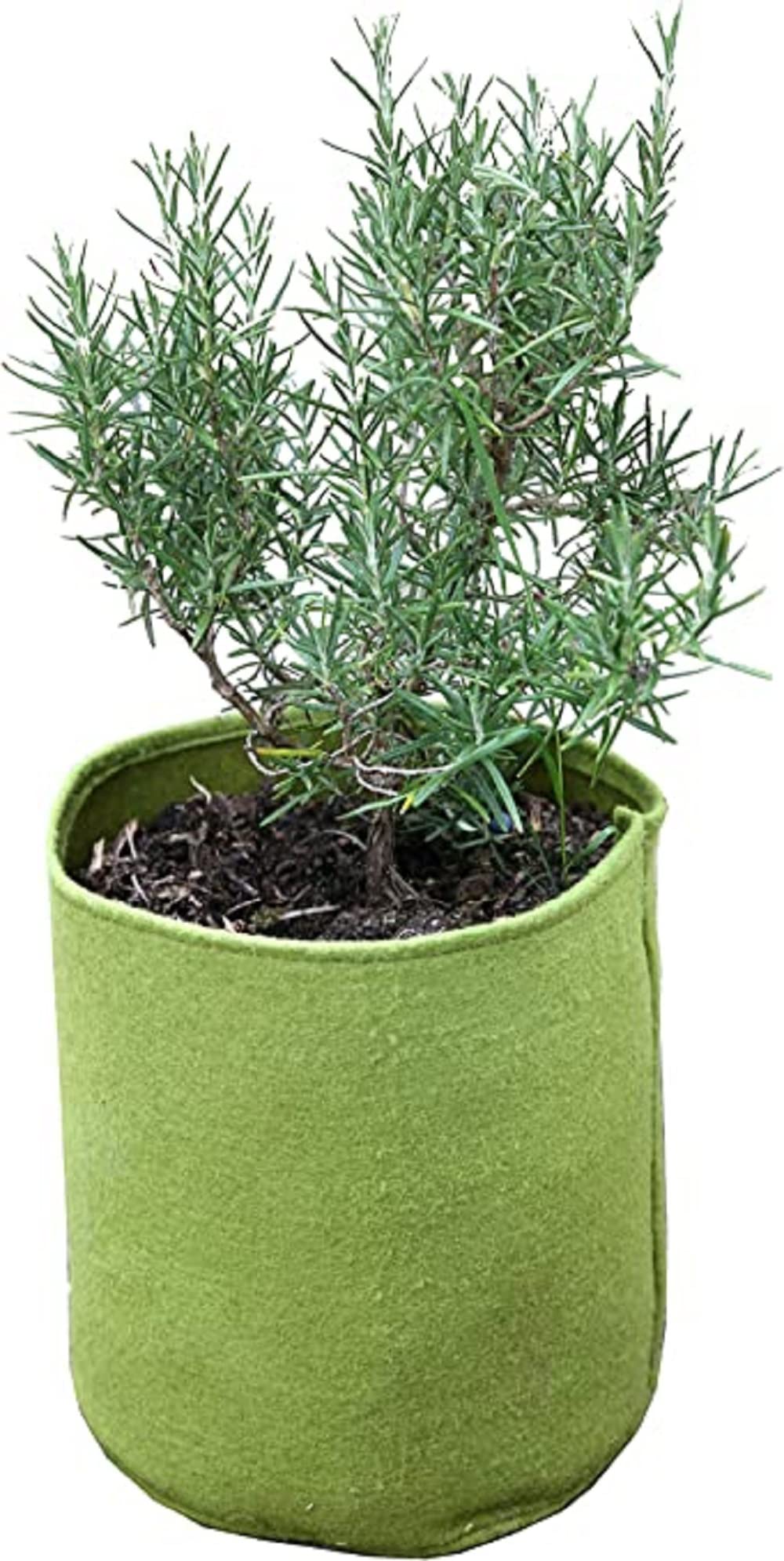 Haxnicks Small Vigoroot Plant Pots | Special Garden Fabric Needs Less Compost | Better Roots | Stronger Plants | Up To 30% Higher Yield | Capacity 5L Green | VIG080101