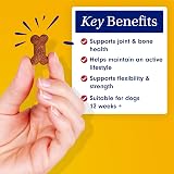 PetLab Co. Joint Care Chews – Daily Dog Joint Supplements for Mobility view 3