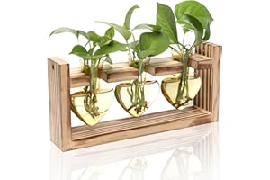 MTSIGNS Plant Terrarium Propagation Stations Hydroponics Home Garden Decoration Gift for Women with Wooden Stand Heart Shaped Colored Glass Vase