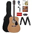Fender 0950816021-COMBO-DLX Acoustic Guitar Bundle with Gig Bag, Tuner, Strings, Strap, Picks, Austin Bazaar Instructional DVD, and Polishing Cloth