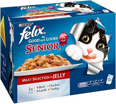 matching dog and owner sweatshirts