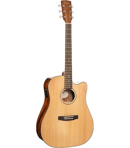 CORT EARTH 70 VB アコースティックギター 低弦高 コルト 表単板
