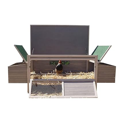Buy Hen Den Chicken Coop Online At Low Prices In India Amazonin